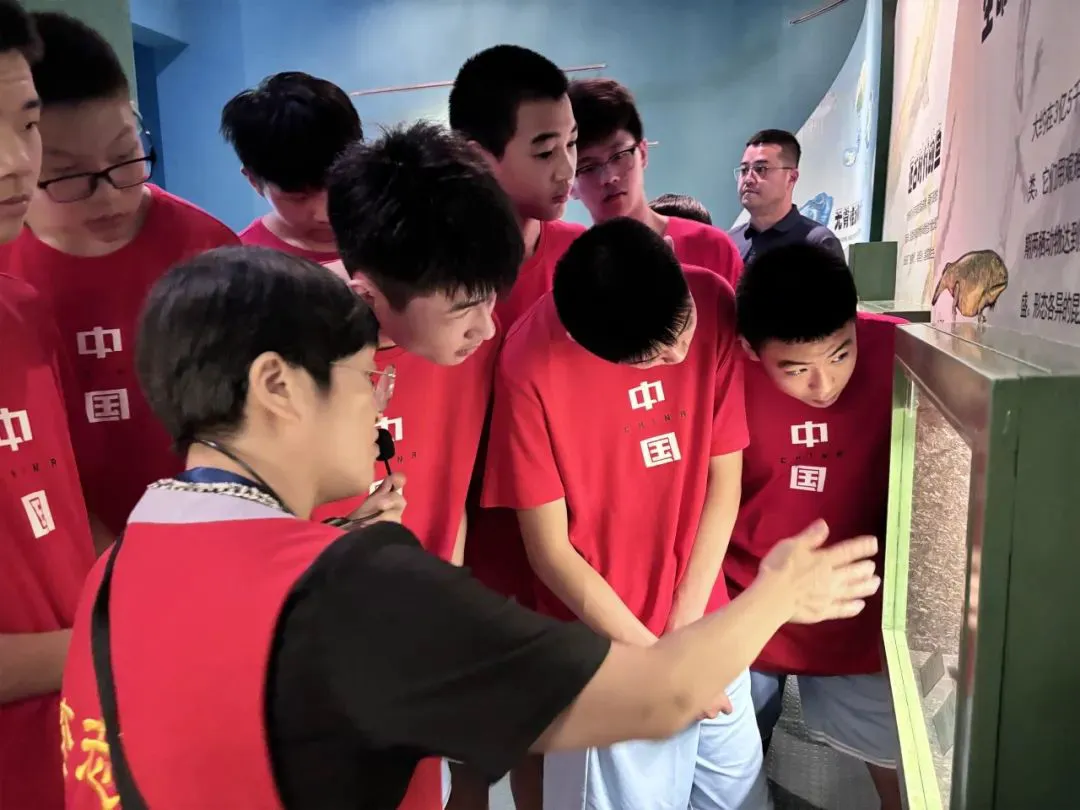 如何制定智能篮球训练计划_2